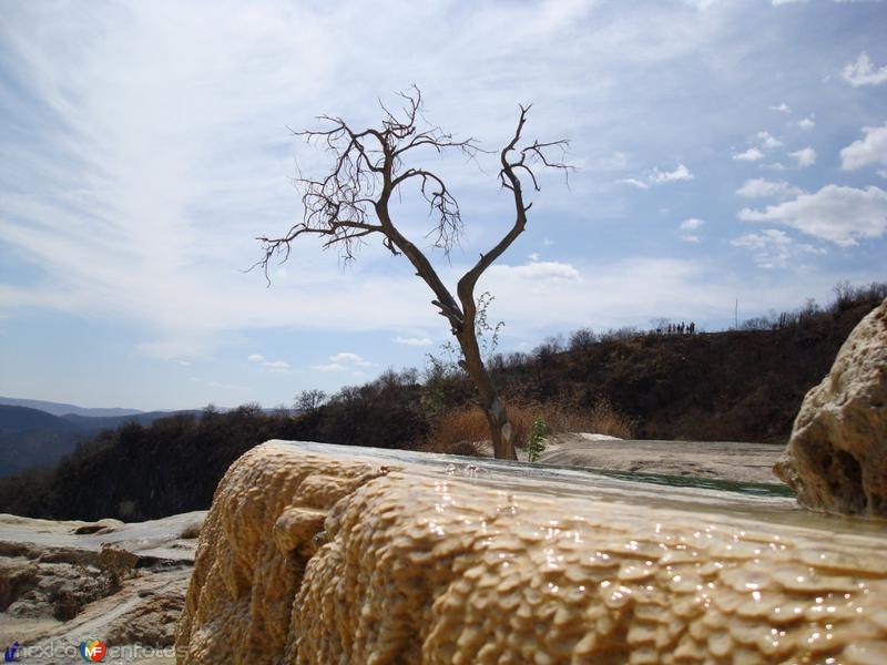 Fotos de San Lorenzo Albarradas, Oaxaca: manantial de hierve el agua 6