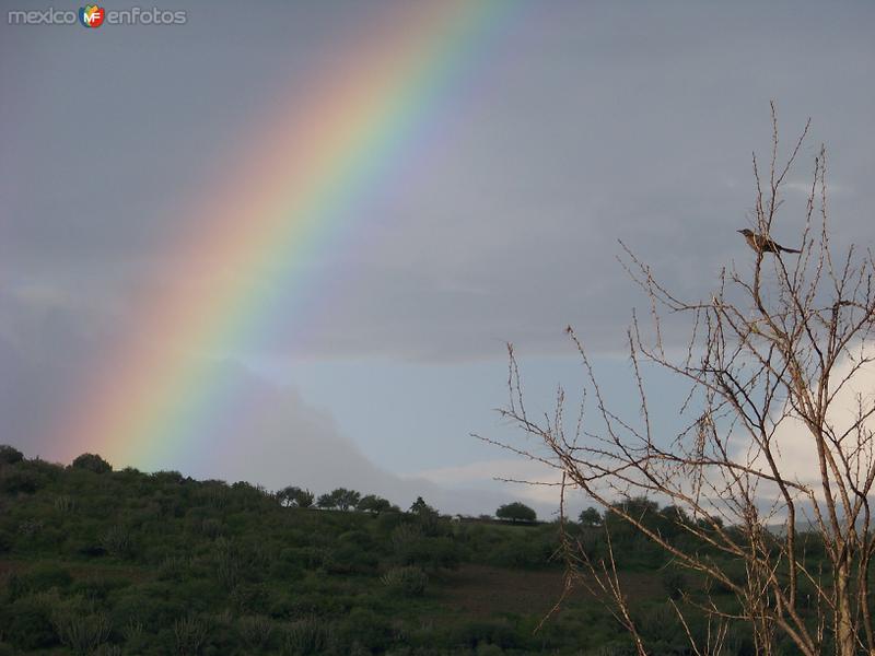 Fotos de Ciudad Del Maíz, San Luis Potosí: Que bonito arcoiris