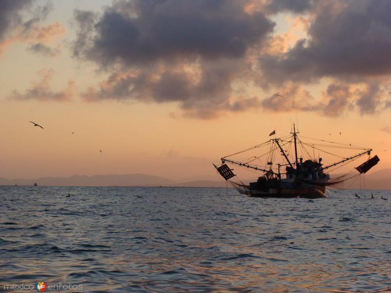 Fotos de Topolobampo, Sinaloa: barco camaronero