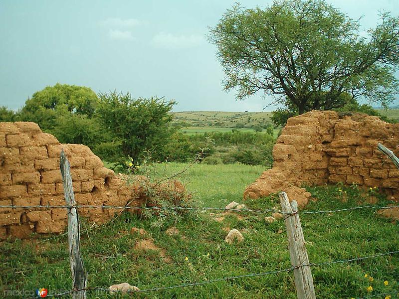 Fotos de San Francisco Del Oro, Chihuahua: MI RANCHITO