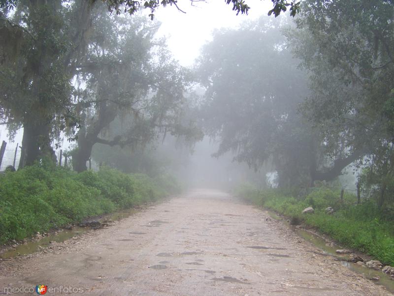 Fotos de Ciudad Del Maíz, San Luis Potosí: Camino a la Col. Italiana