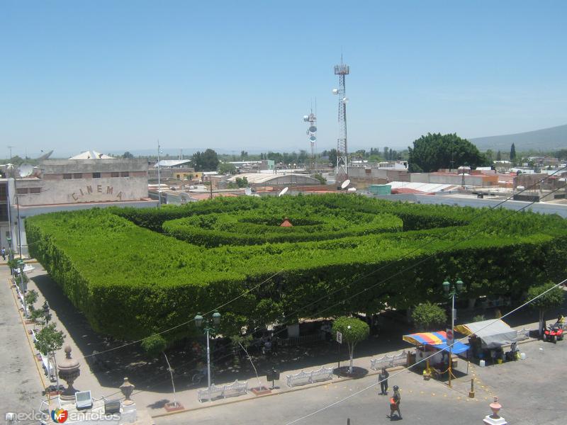 Fotos de Apaseo El Grande, Guanajuato: Jardin Principal Apaseo el Grande