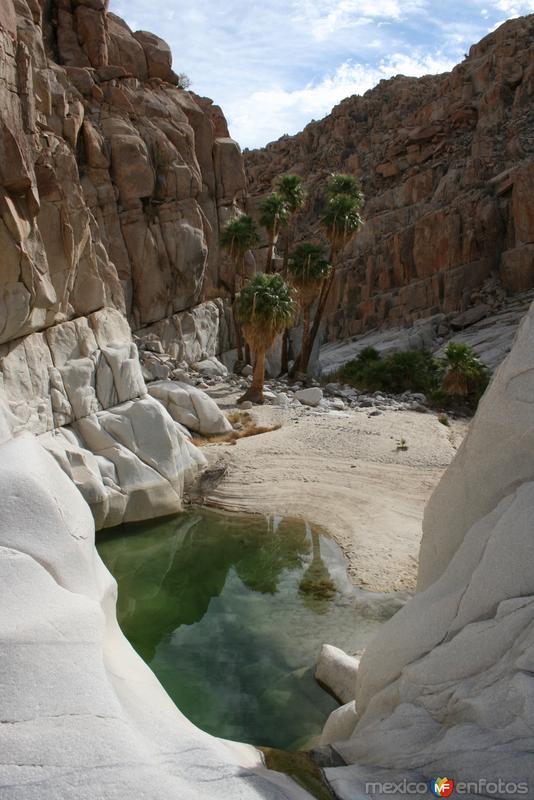 Fotos de Cataviña, Baja California: Oasis Santa María