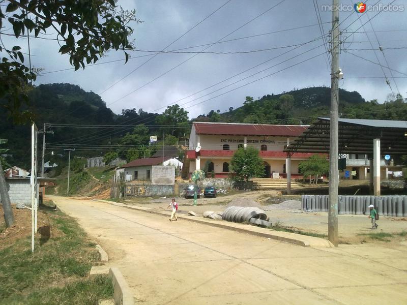 Fotos de Xilitla, Hidalgo: Entrada a Xilitla