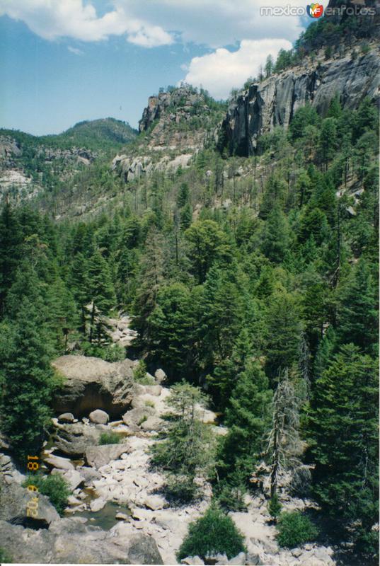 Fotos de Cusárare, Chihuahua: Cañón del Río Cusárare visto desde la cascada. Cusárare, Chihuahua