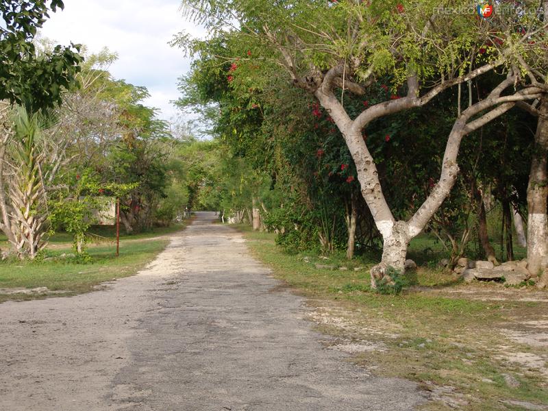 Fotos de Mayapán, Yucatán: Entrada a la zona arqueológica de Mayapán