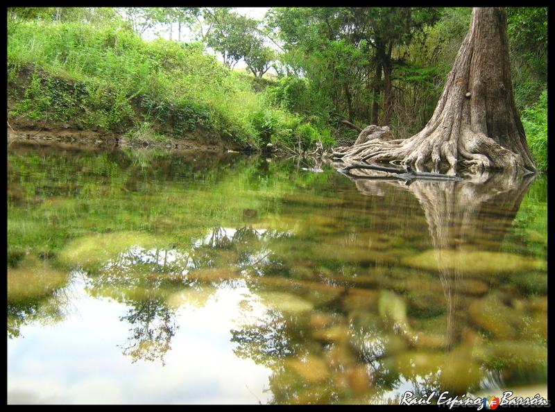 Fotos de Tamasopo, San Luis Potosí: LOS RIOS DE LA HUASTECA