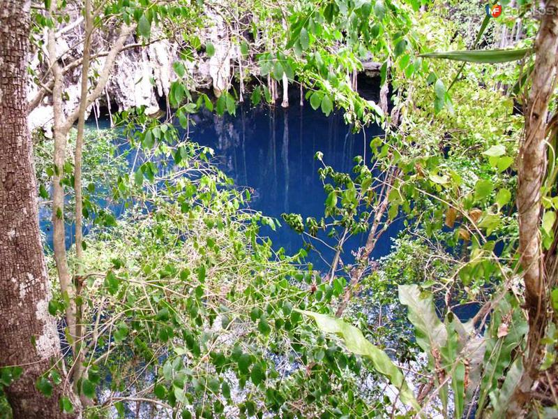 Fotos de Yokdzonot, Yucatán: CENOTE YOKDZONOT YUCATAN MAVIPOL