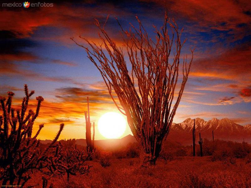 Fotos de Hermosillo, Sonora: ESTUPENDO ATARDECER