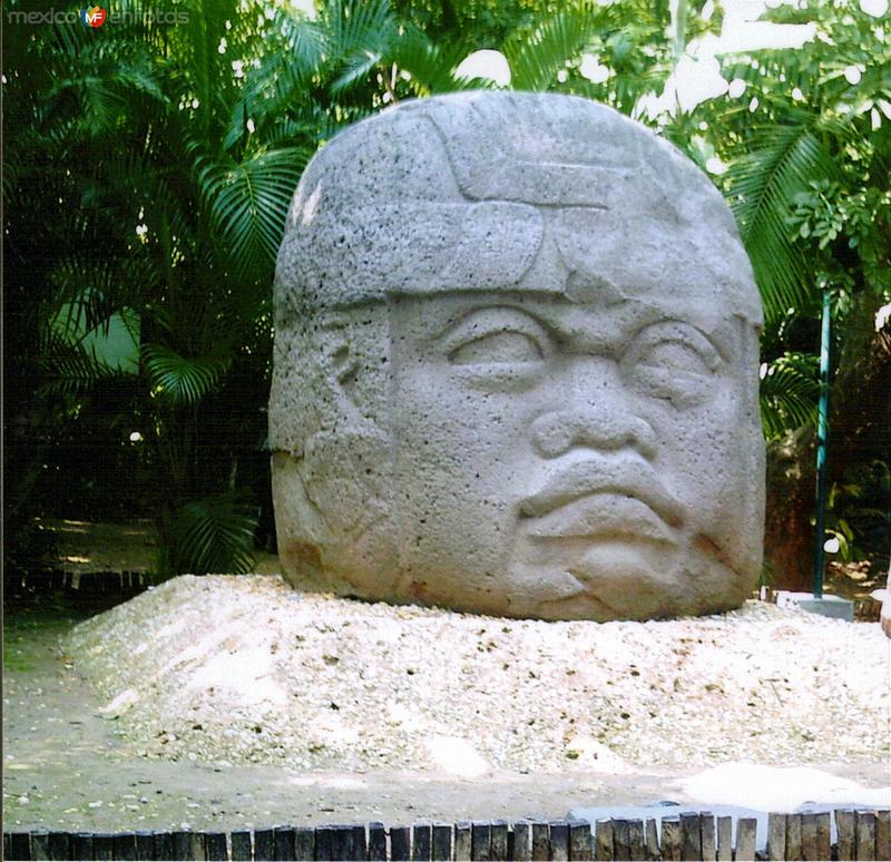 Fotos de Villahermosa, Tabasco: Cabeza Olmeca. Museo La Venta. 2005