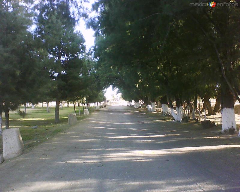 Fotos de Ciudad Juárez, Chihuahua: PARQUE DEL CHAMIZAL