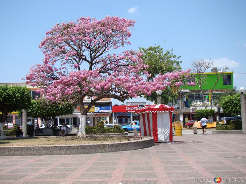 Fotos de Cárdenas, Tabasco: macuilis del parque independencia