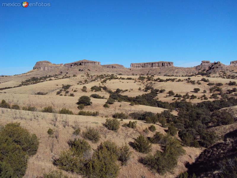 Fotos de San Francisco De Borja, Chihuahua: B. Dominguez