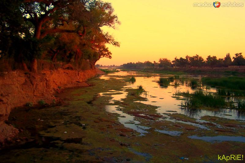 Fotos de Guasave, Sinaloa: RIO SINALOA