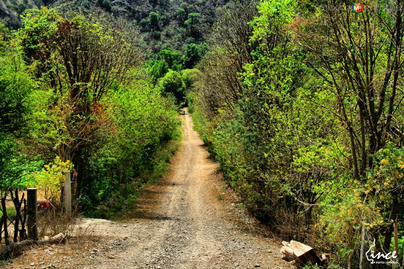 Fotos de San Sebastián Tecomaxtlahuaca, Oaxaca: SENDERITO AL RIO