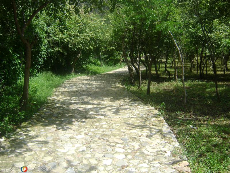 Fotos de Chalcatzingo, Morelos: Calzada de acceso a la zona arqueológica de Chalcatzingo. Agosto/2011