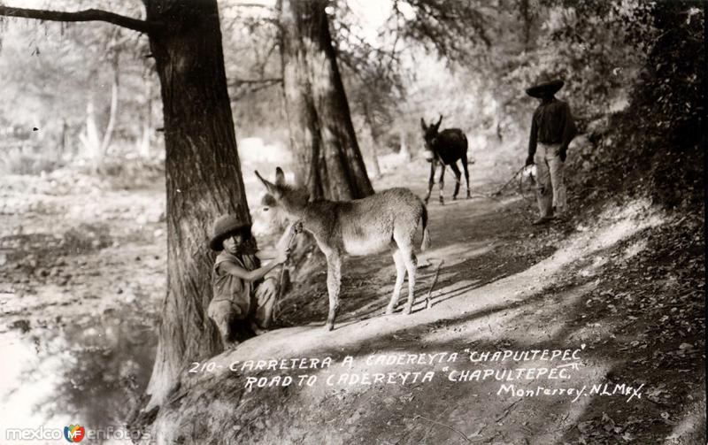 Fotos de Cadereyta, Nuevo León: Carretera a Cadereyta Chapultepec