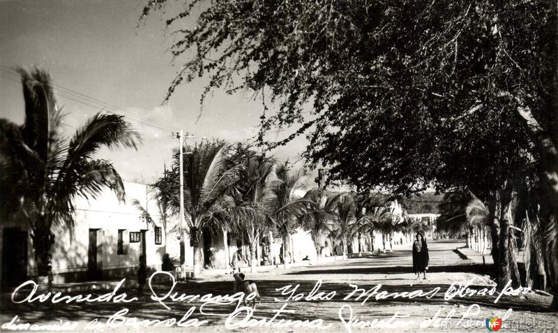 Fotos de Islas Marías, Nayarit: Avenida Durango