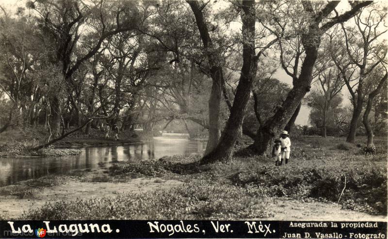 Fotos de Nogales, Veracruz: La Laguna