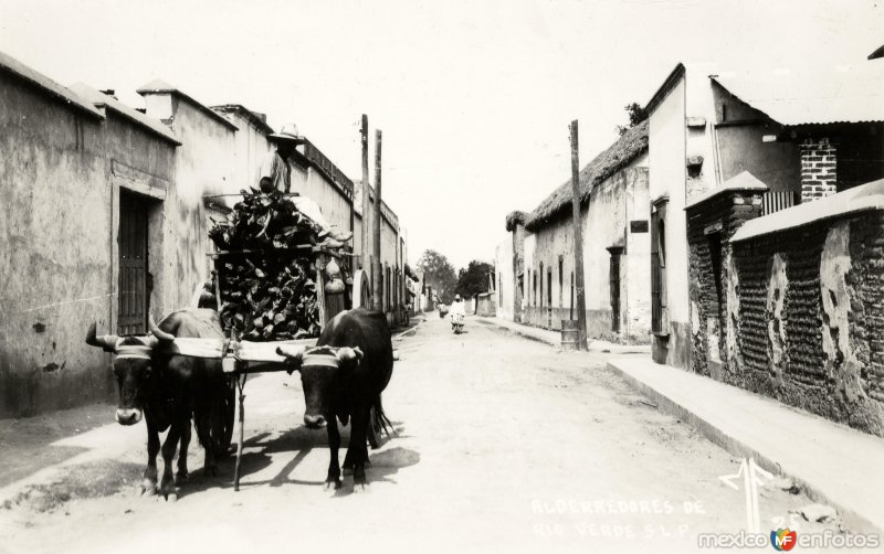 Fotos de Rioverde, San Luis Potosí: Calles de Río Verde