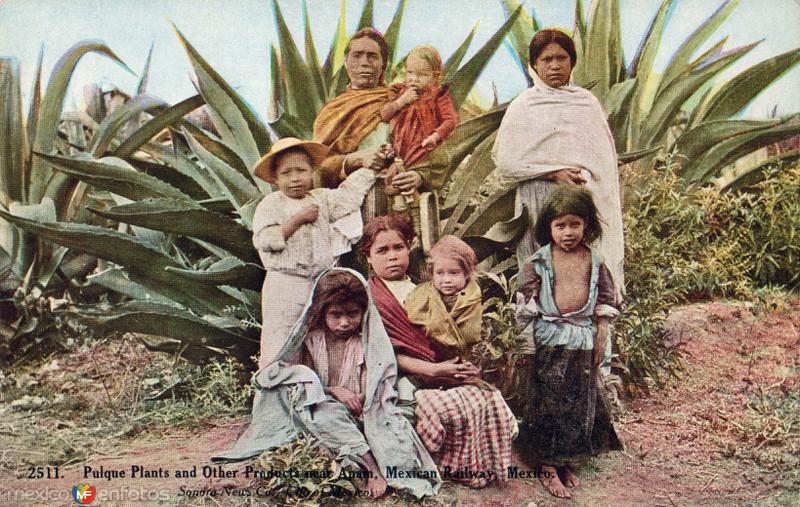 Fotos de Apan, Hidalgo: Una familia en Apan