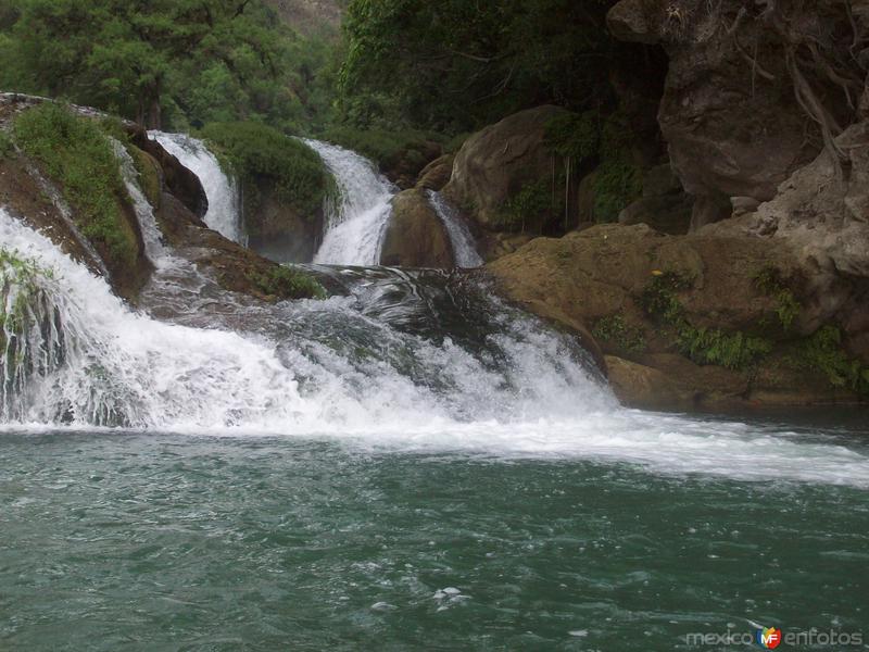 Fotos de Rioverde, San Luis Potosí: Huasteca