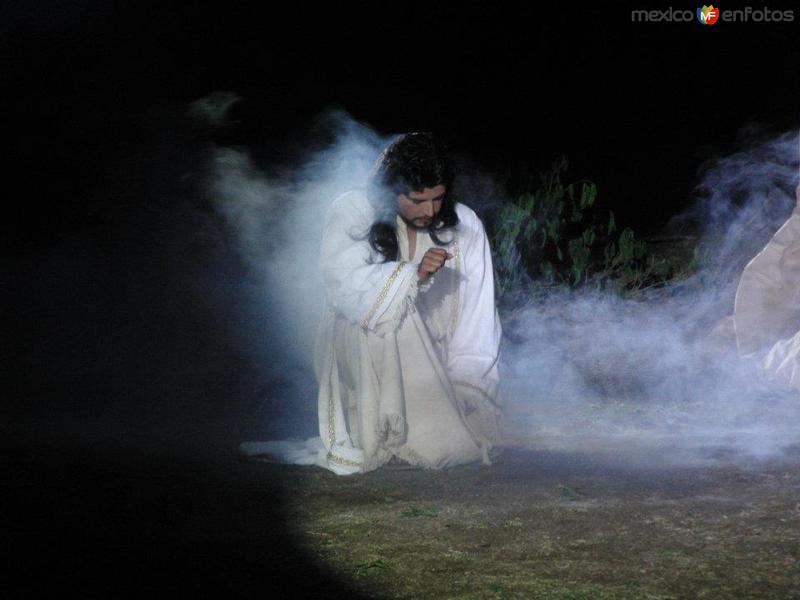 Fotos de Zapotitlán De Vadillo, Jalisco: Semana Santa