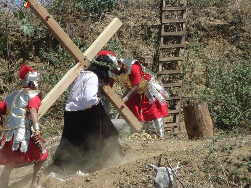 Fotos de Zapotitlán De Vadillo, Jalisco: Semana Santa