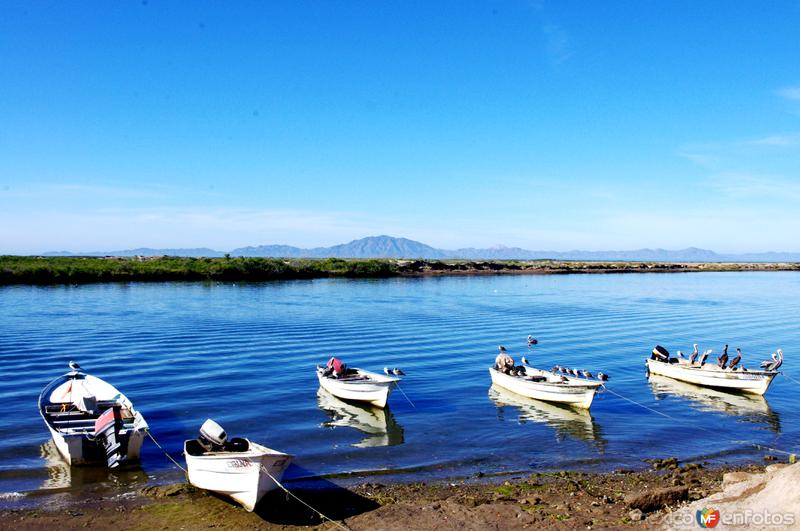 Fotos de Bahía Magdalena, Baja California Sur: Puerto Chale