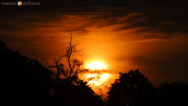 Fotos de Tuxpan, Veracruz: atardecer tuxpeño