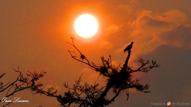 Fotos de Córdoba, Veracruz: ATARDECER EN CORDOBA,VERACRUZ