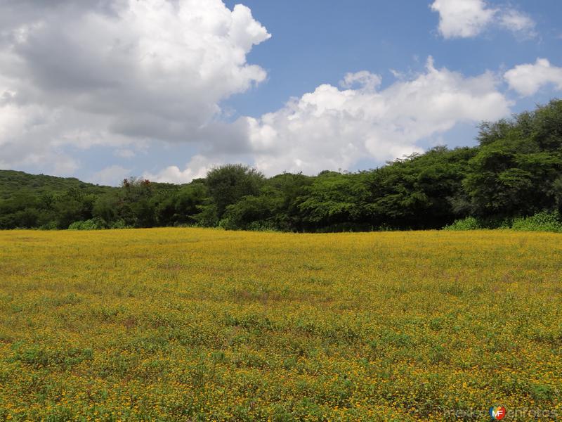 Fotos de Acámbaro, Guanajuato: Amarillo, verde y azul