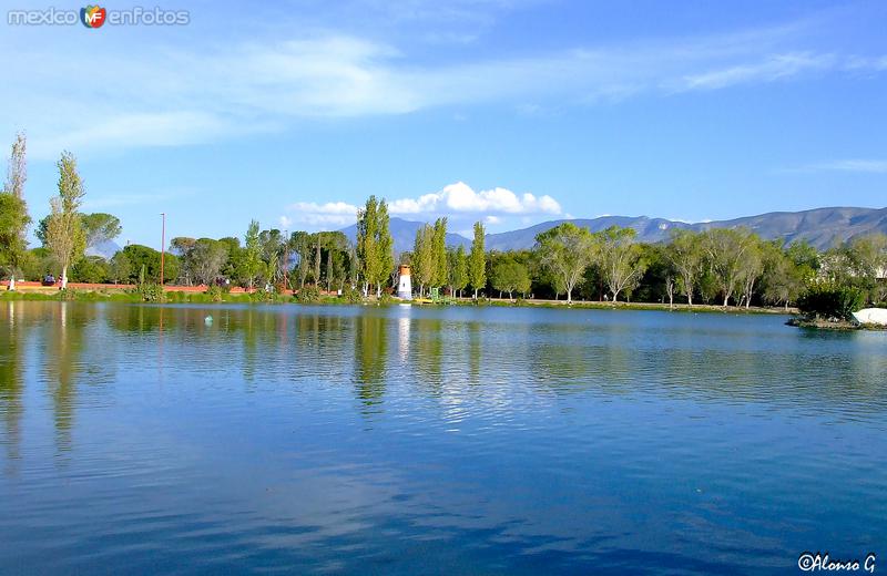 Fotos de Saltillo, Coahuila: ciudad deportiva