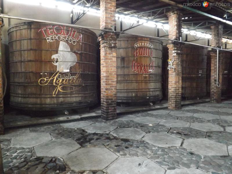 Fotos de Corralejo, Guanajuato: Barriles de roble blanco para el reposo del Tequila. Ex-hacienda Corralejo. Noviembre/2012