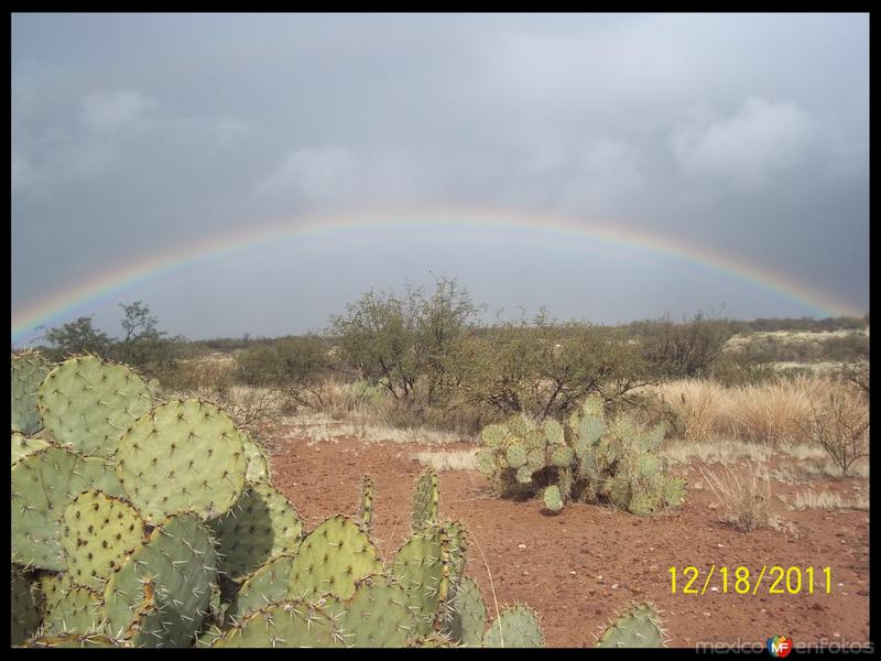 Fotos de Santa Ana, Sonora: Arcoiris En El Desierto