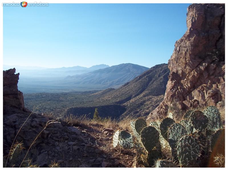 Fotos de Santa Ana, Sonora: Hermosa Naturalesa