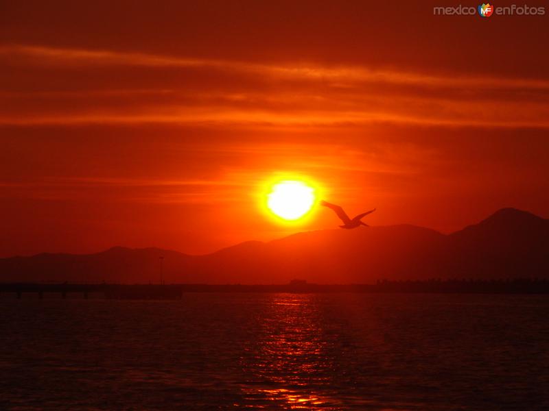 Fotos de Manzanillo, Colima: Atardecer