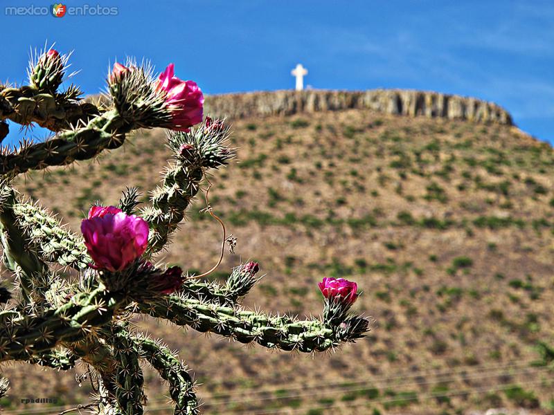 Fotos de Sombrerete, Zacatecas: SOMBRERETILLO