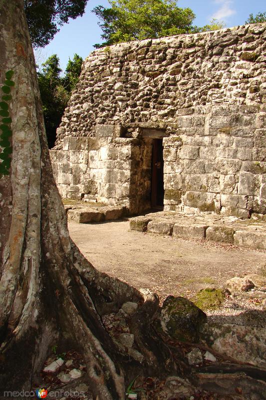 Fotos de Cozumel, Quintana Roo: SAN GERVASIO