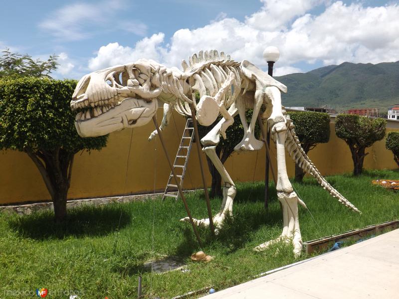 Fotos de Chilpancingo, Guerrero: Museo 