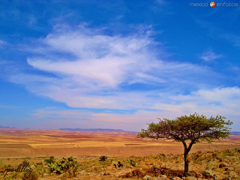 Fotos de Sombrerete, Zacatecas: PAISAJE