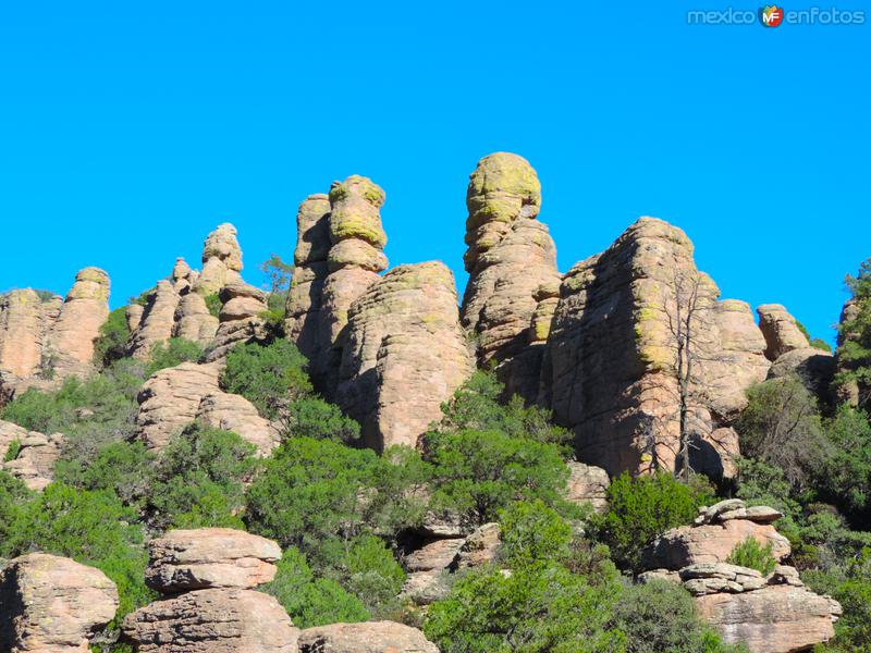 Fotos de Majalca, Chihuahua: Pilares erosionados de Mil Castillos, Majalca