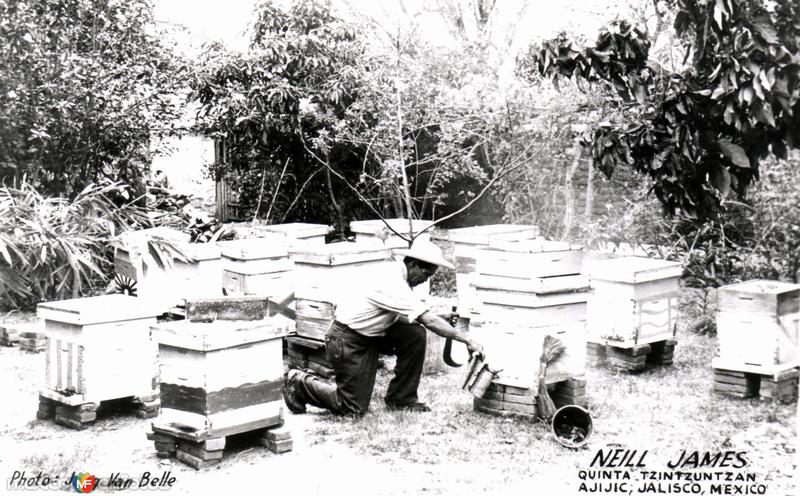 Fotos de Ajijic, Jalisco: Quinta Tzintzuntzan