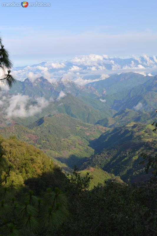 Fotos de Sierra Madre Occidental, Durango: Espinazo del diablo