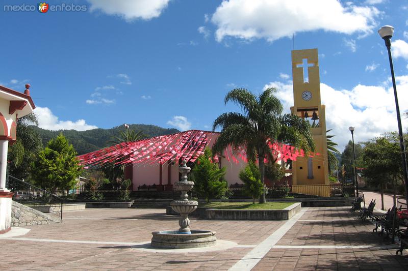 Fotos de San Gabriel, Jalisco: El Jazmin