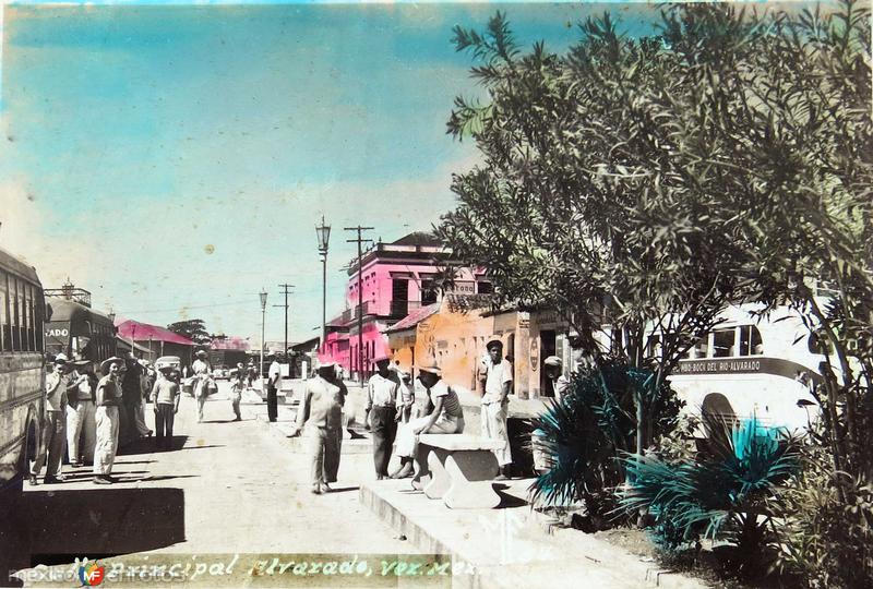 Fotos de Alvarado, Veracruz: calle Principal