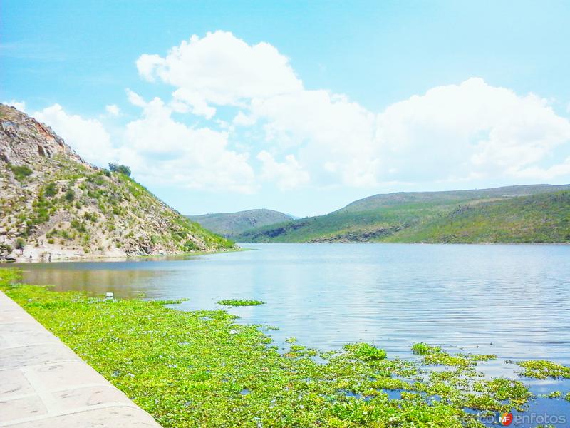 Fotos de Presa De San José, San Luis Potosí: El vaso de la presa.