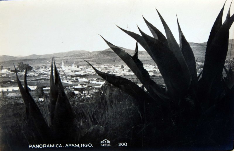 Fotos de Apan, Hidalgo: Panoramica