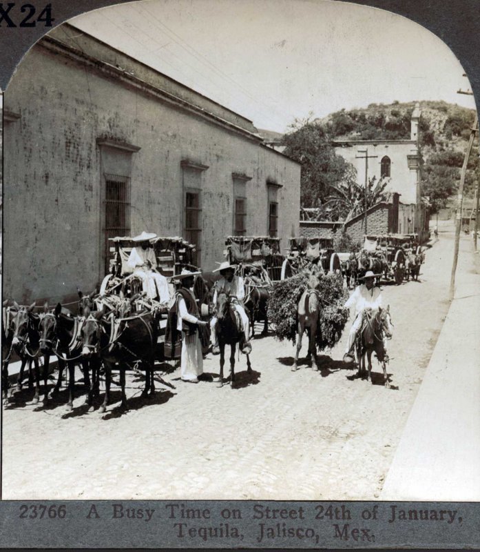 Fotos de Tequila, Jalisco: Muchas Carretas