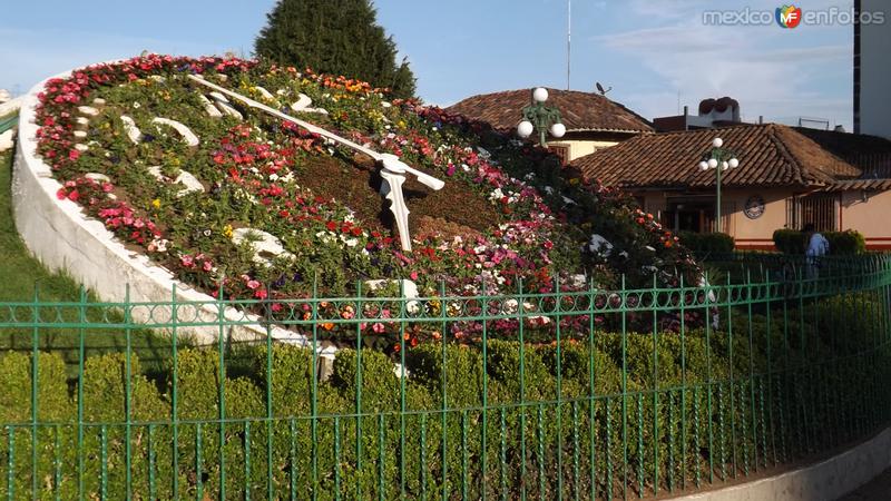 Fotos de Zacatlán, Puebla: Reloj floral en Zacatlán. Mayo/2014